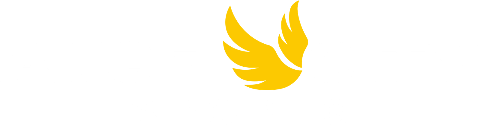 Angel City Sports Primary Logo
